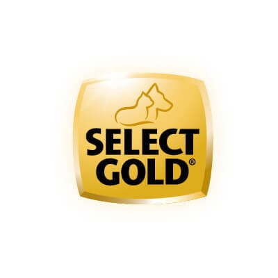 Seitz Logo